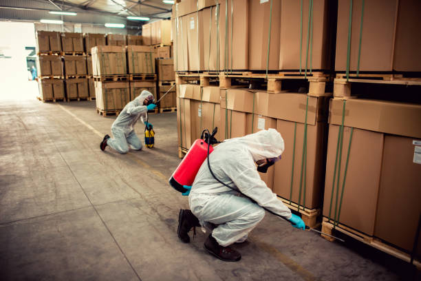 Best Local Pest Control Services  in Beaverton, OR