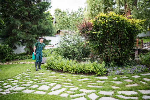 Best Rat Extermination Near Me  in Beaverton, OR