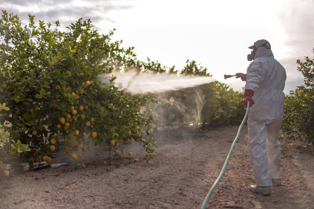 Pest Prevention Services in Beaverton, OR