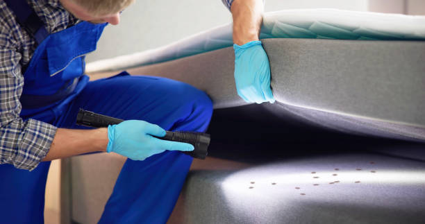 Best Emergency Pest Control  in Beaverton, OR