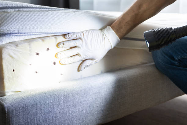 Best Pest Removal Services  in Beaverton, OR