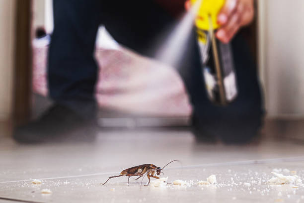 Best Rodent Control Near Me  in Beaverton, OR