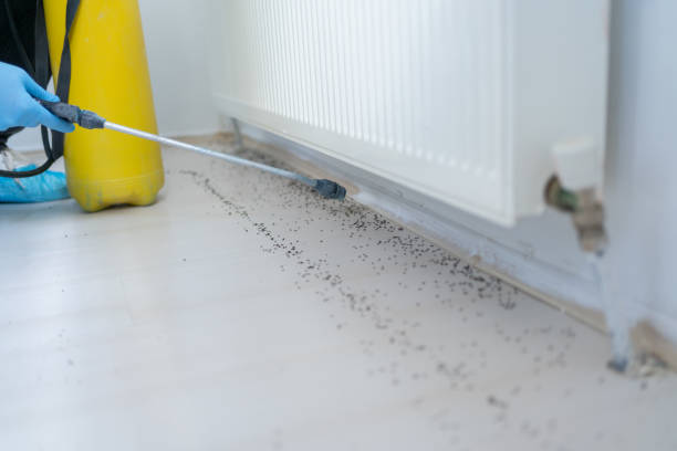 Best Best Pest Control Companies  in Beaverton, OR