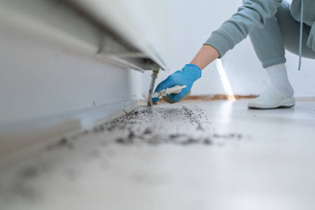 Best Affordable Pest Control Services  in Beaverton, OR